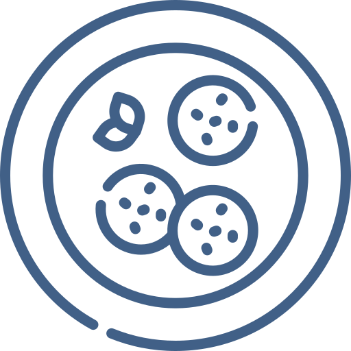 Plate Icon
