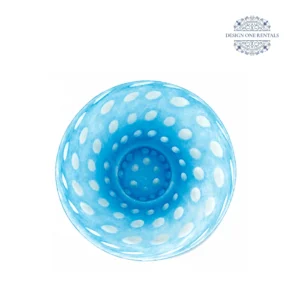 Blue Circle Frost China Plate
