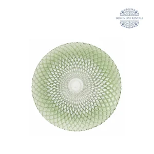 Peacock Verde 10inch China Plate