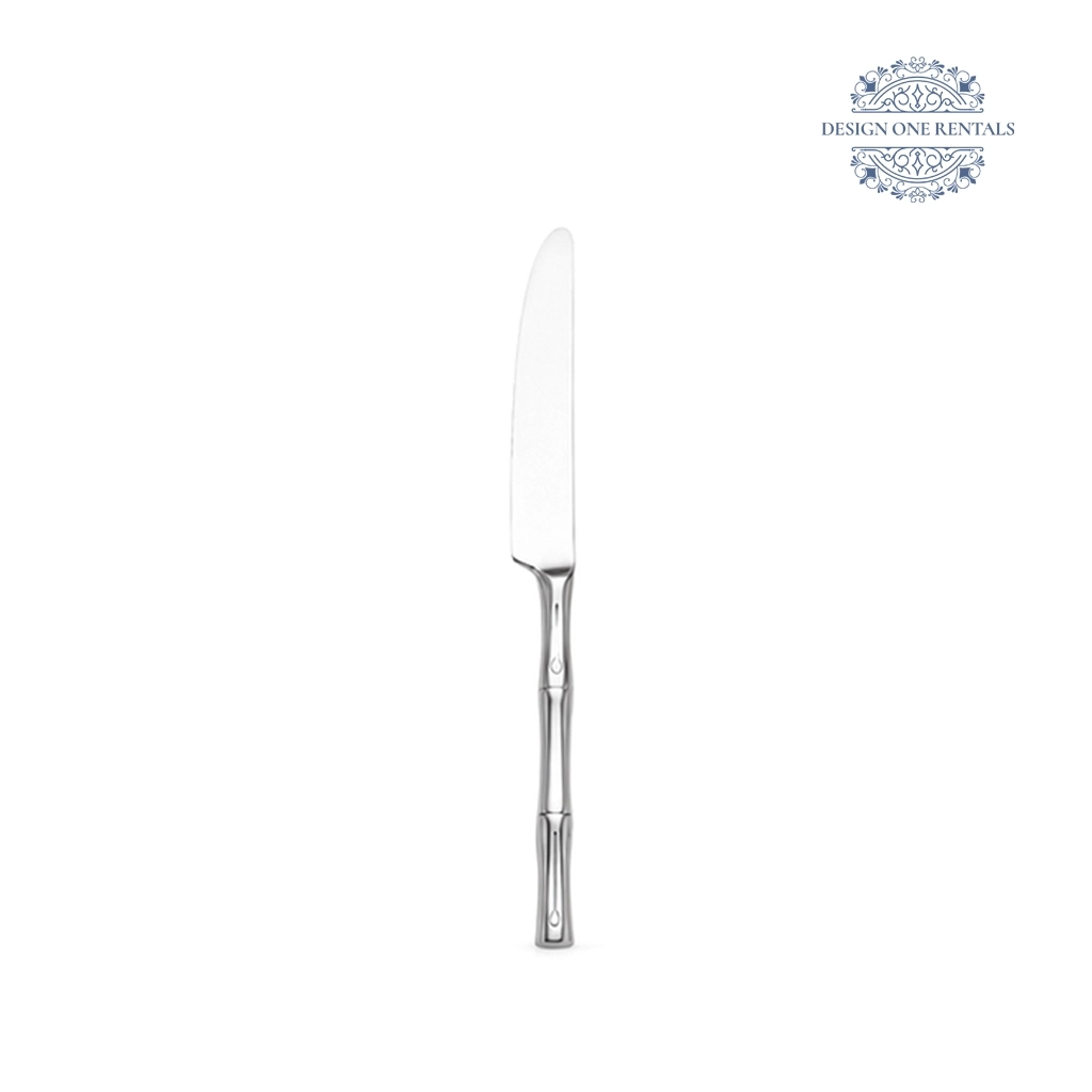 Aurora Stainless Silver Collection Dinner Knife in white background
