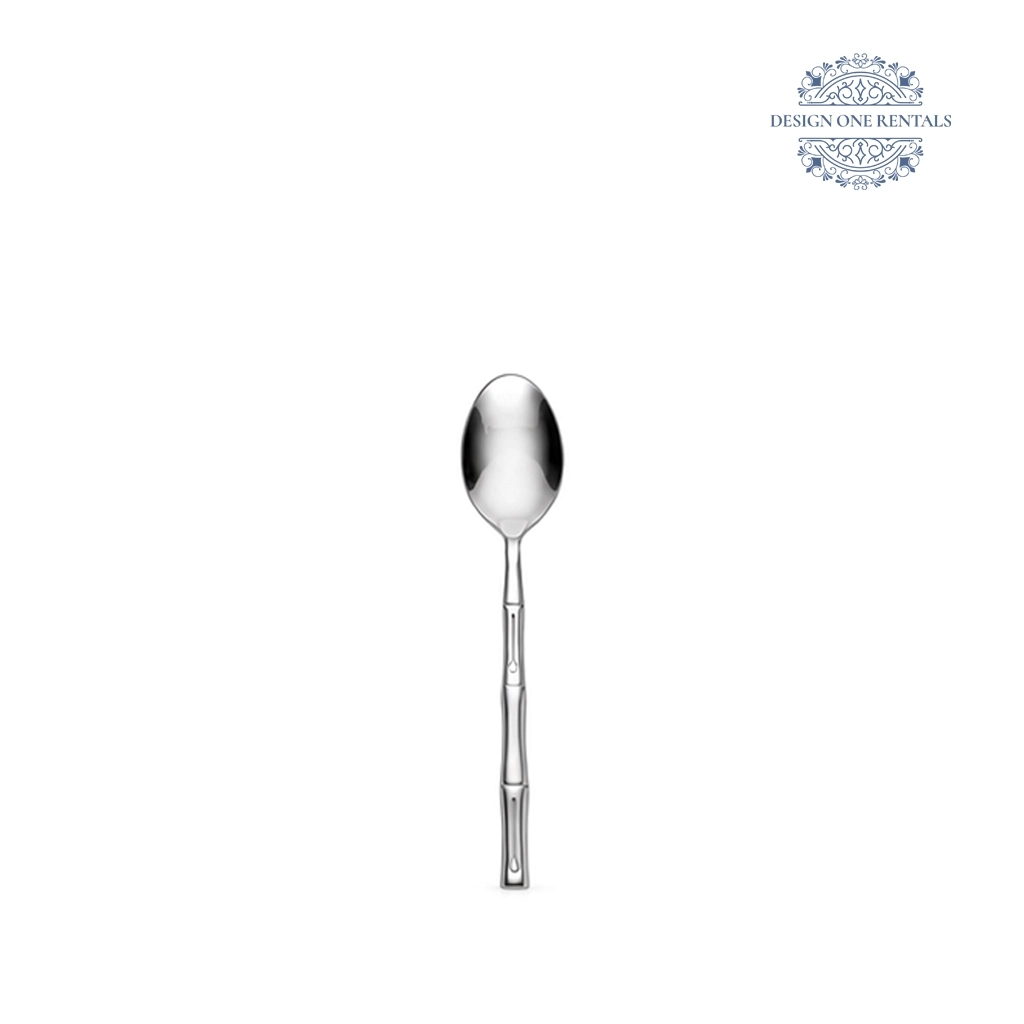 Aurora Stainless Silver Collection Teaspoon in white background