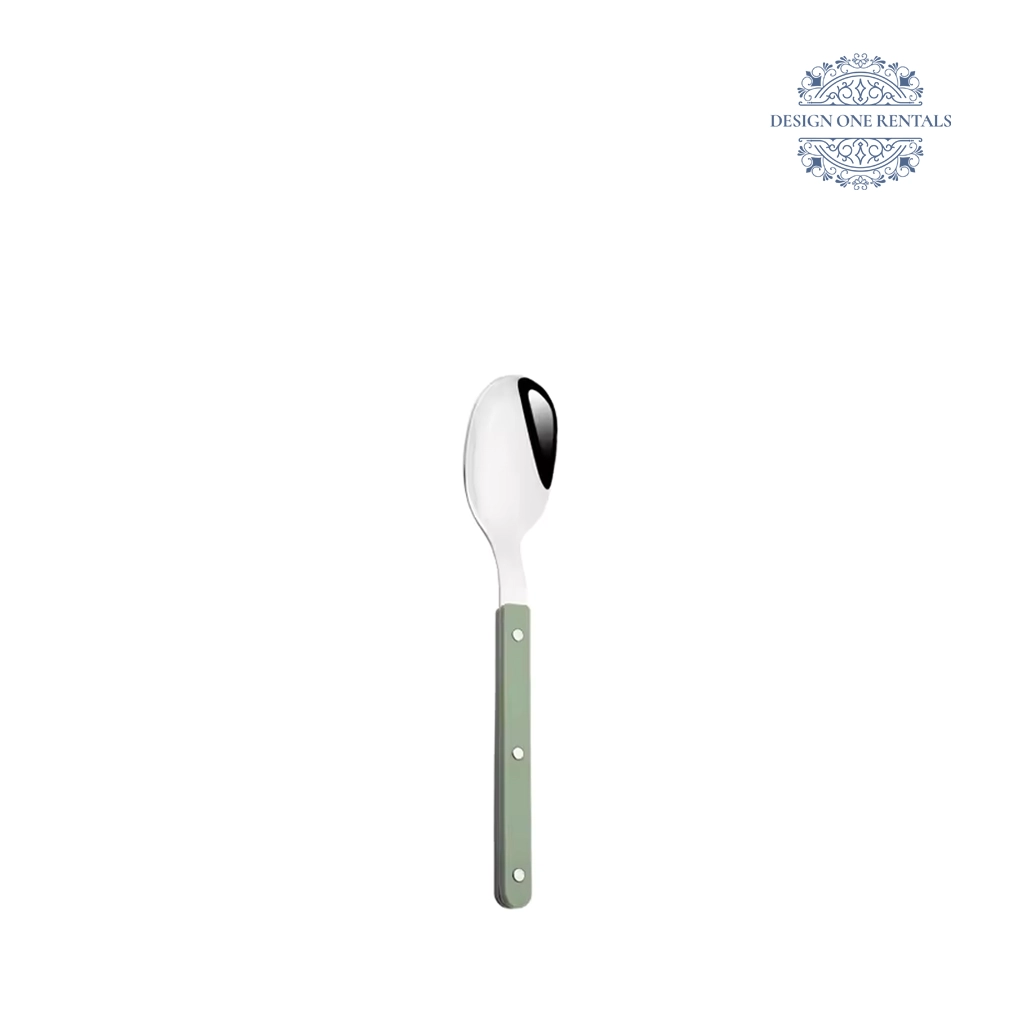 Jennifer Collection teaspoon with sage green handle stainless steel flatware for dessert and coffee service